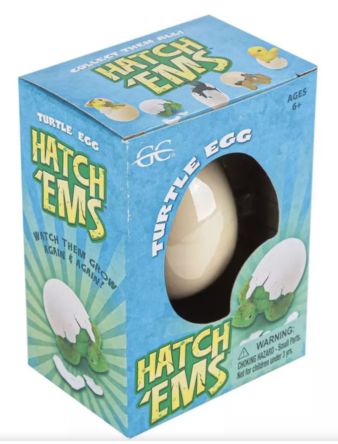 Hatch'em Turtles/HETE/12