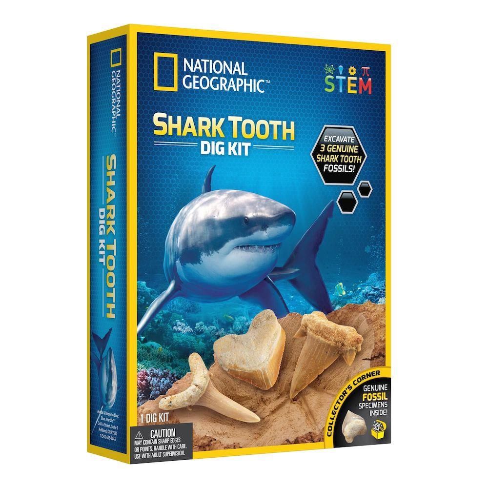 I DIG HAMMERHEAD SHARK/RTHAMSHDIG