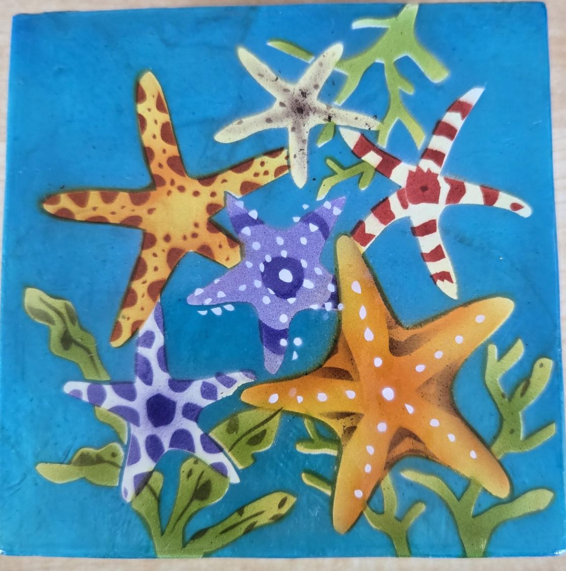 Trinket Box 4X4 Starfish/1030/2
