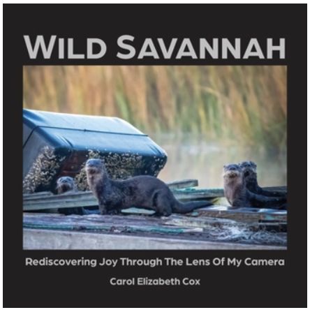 Wild Savannah/9781959563242