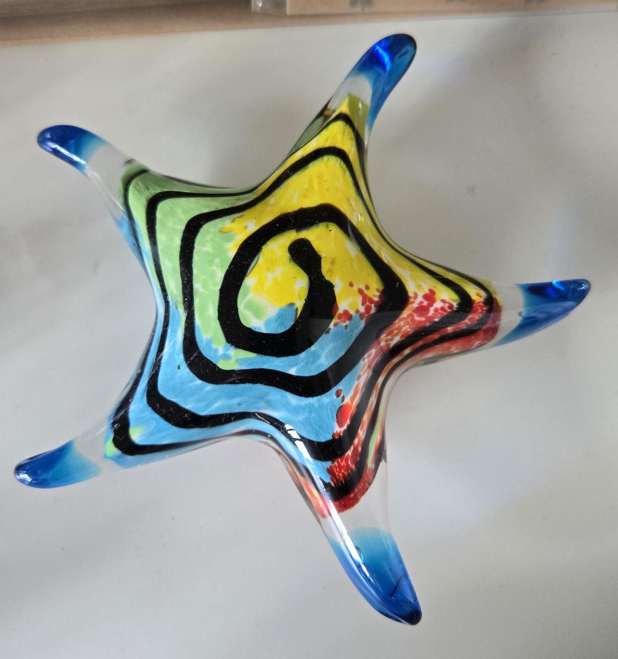 Starfish Multicolored/G1056/2