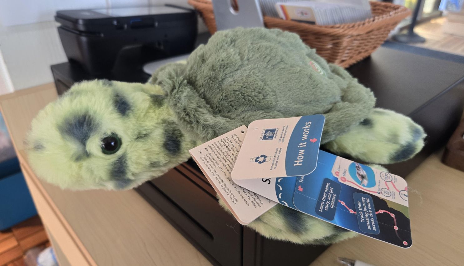 Turtle  Plush Tracking/P-Turtle-G/4
