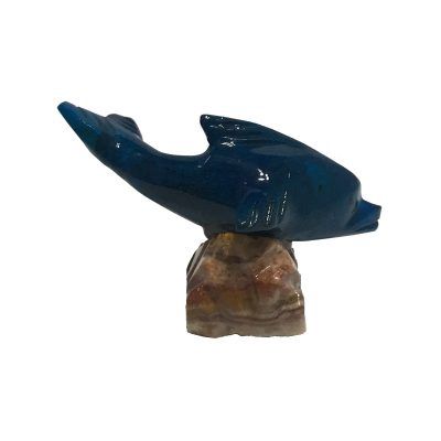 Blue Dolphin/MD-2C/12