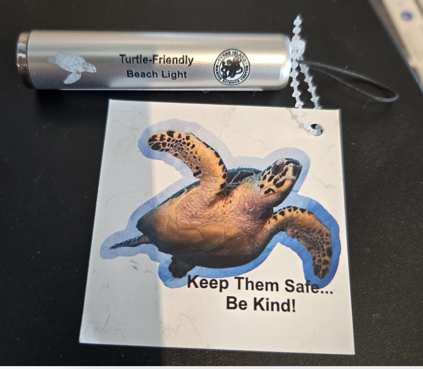 Turtle Safe Flashlight