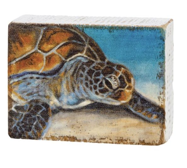 Turtle Block/11004/8