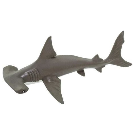 HAMMERHEAD SHARK BABY/267929