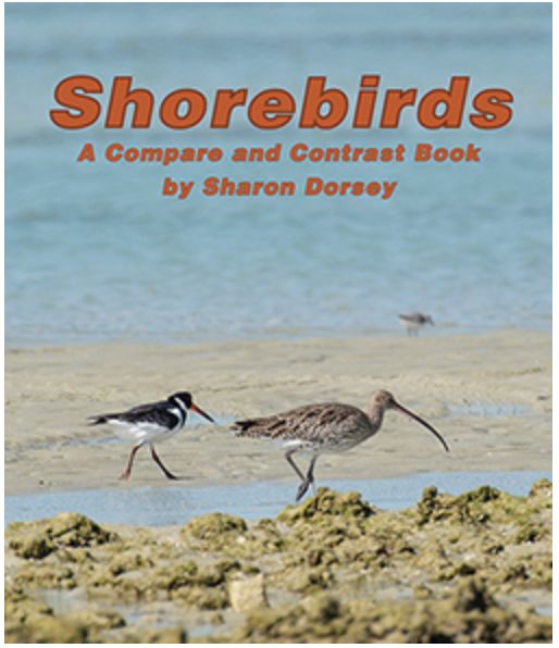 Shorebird/9781638173663
