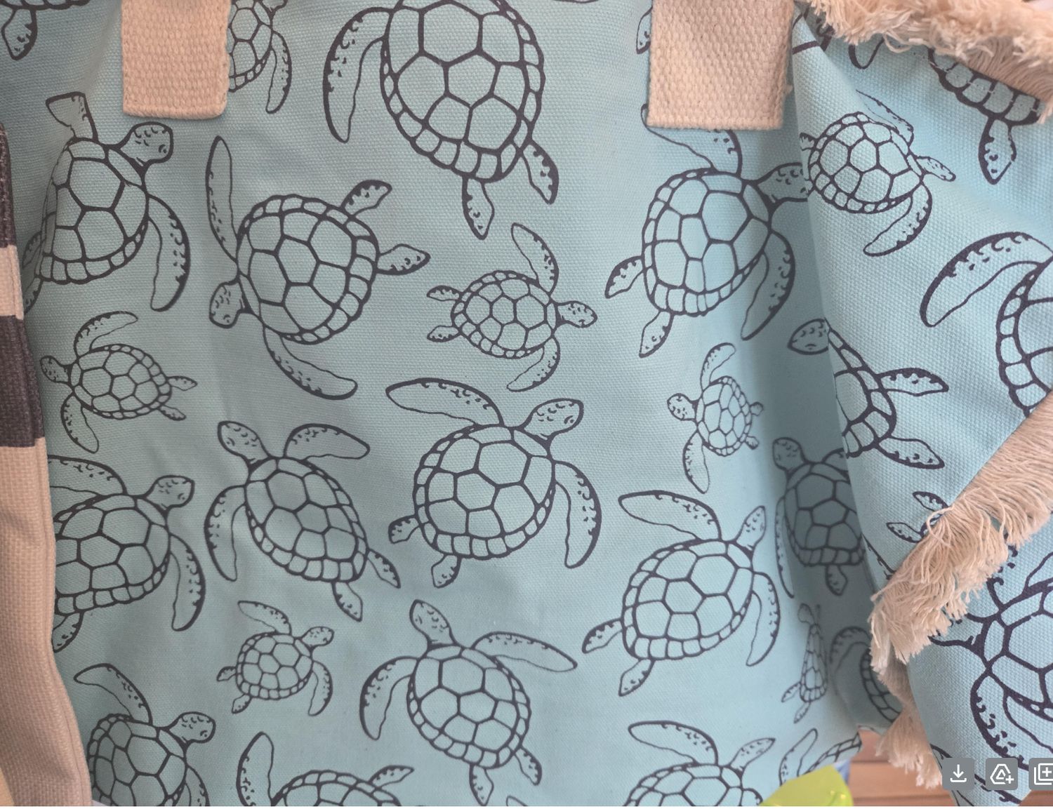 Bag w/Turtle/B5004
