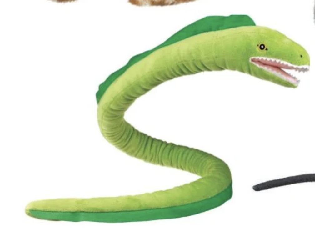 EEL/3
