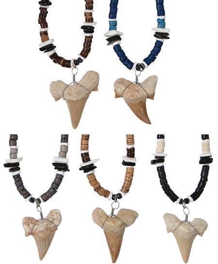 SHARK TOOTH NECKLACE ASST/NK4350XLG/12