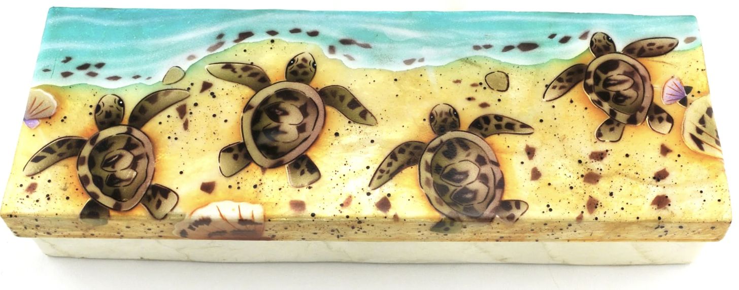 Baby Sea Turtles Long Box/1186/2