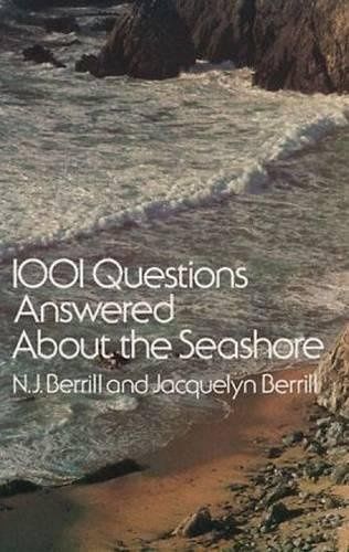 1001 Questions - Seashore