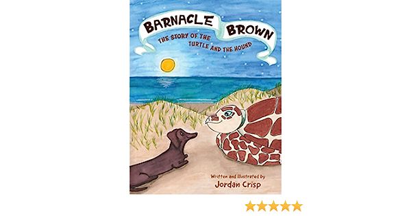 Barnacle Brown