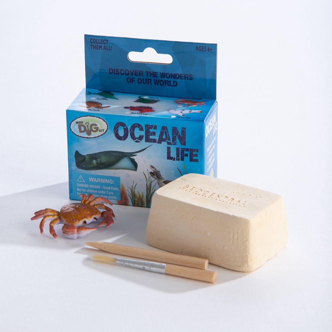 Ocean Dig Kit