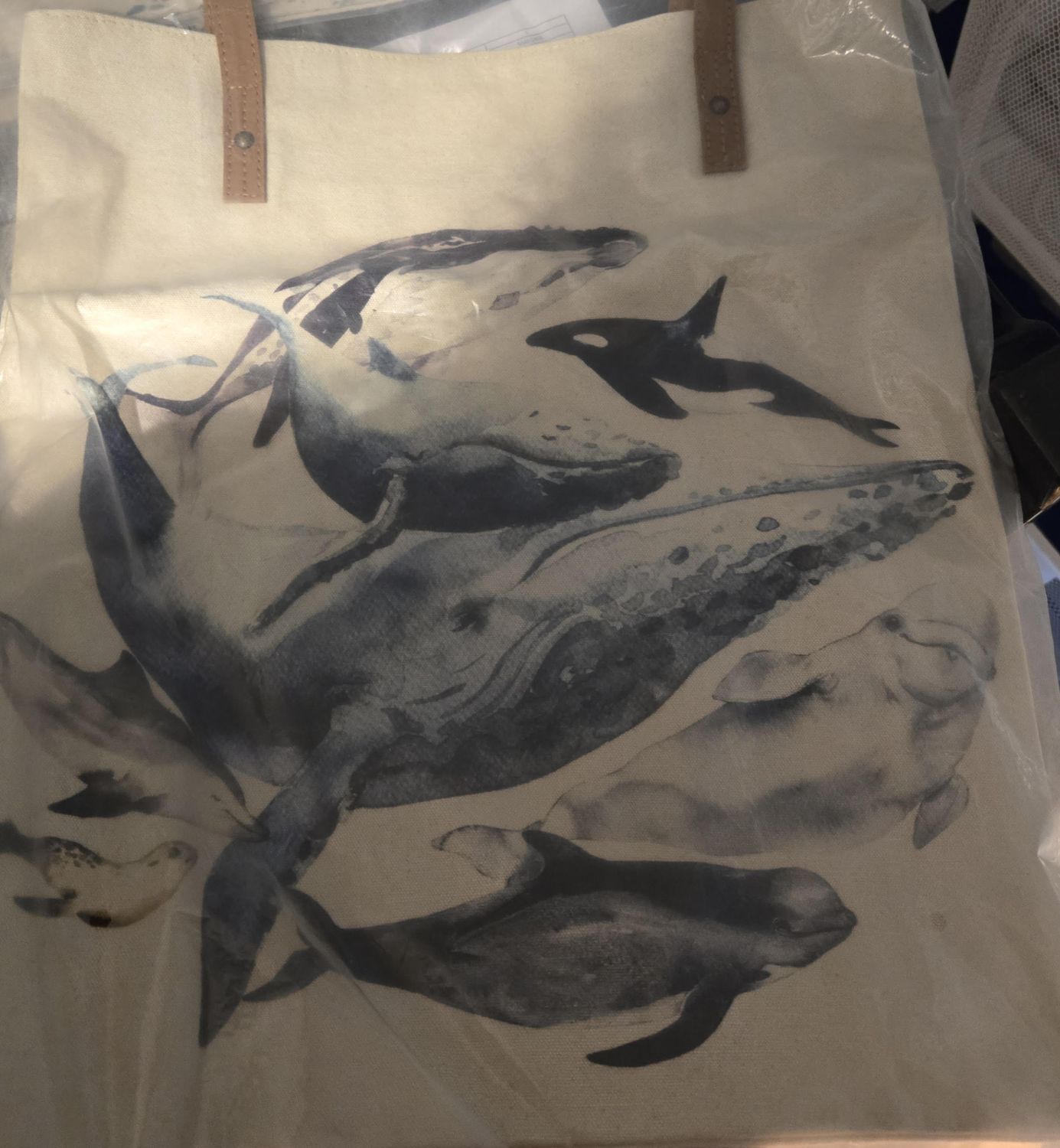Ocean Life Bookbag/701368