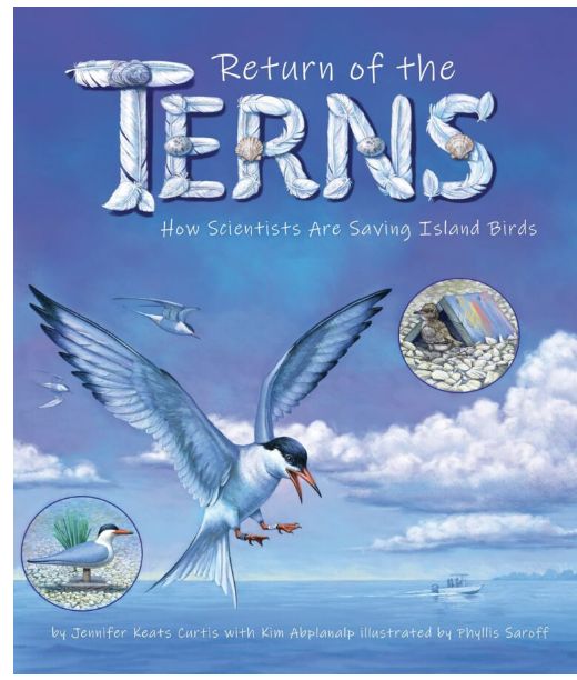 Return of Terns/9781638173298