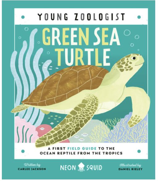 Green Sea Turtle/1684493081