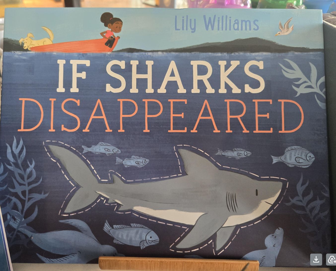 If Sharks Disappear/1626724136
