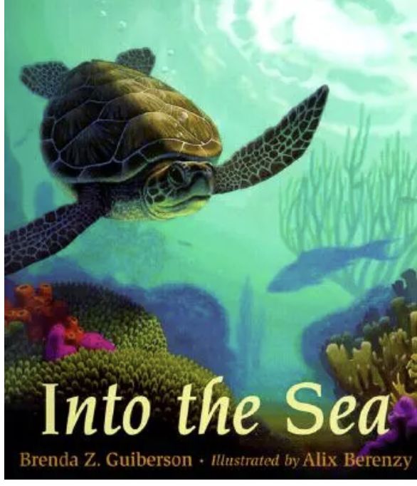 Into the Sea/0805064810