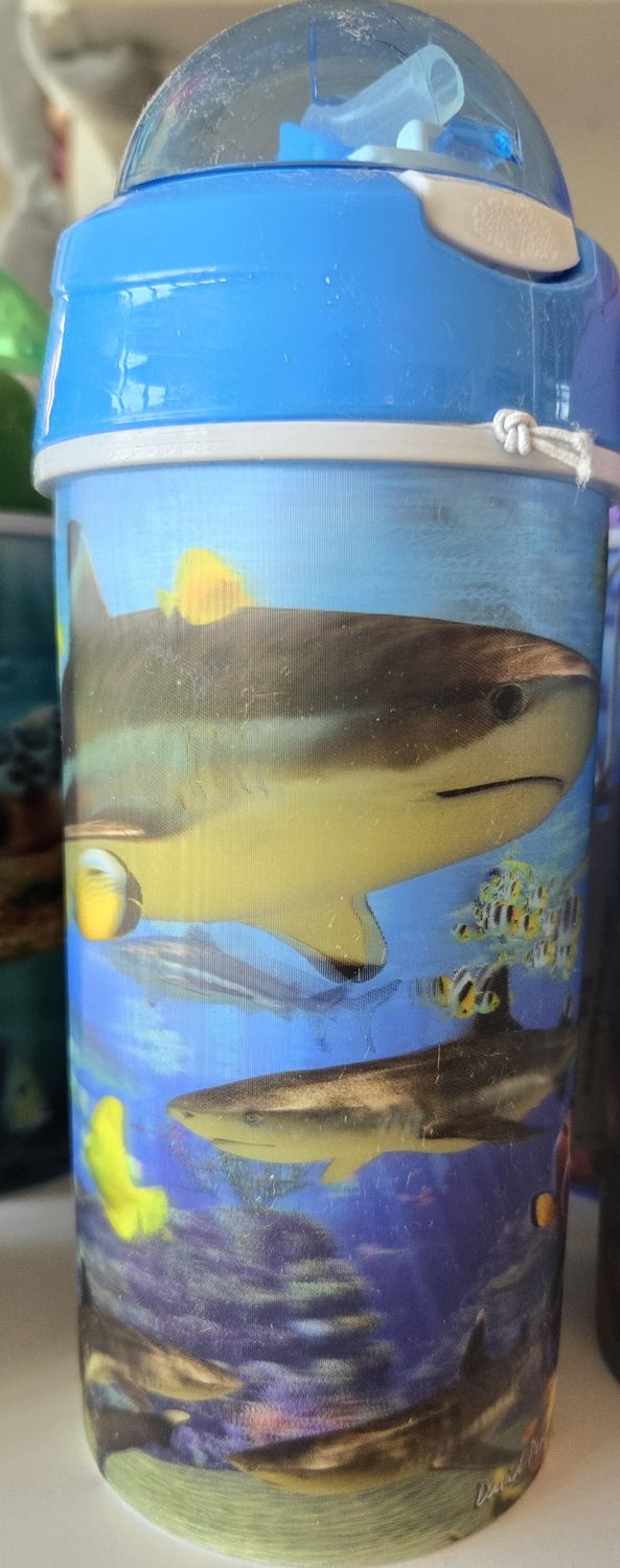 Shark Drinking Bottle/36207/6