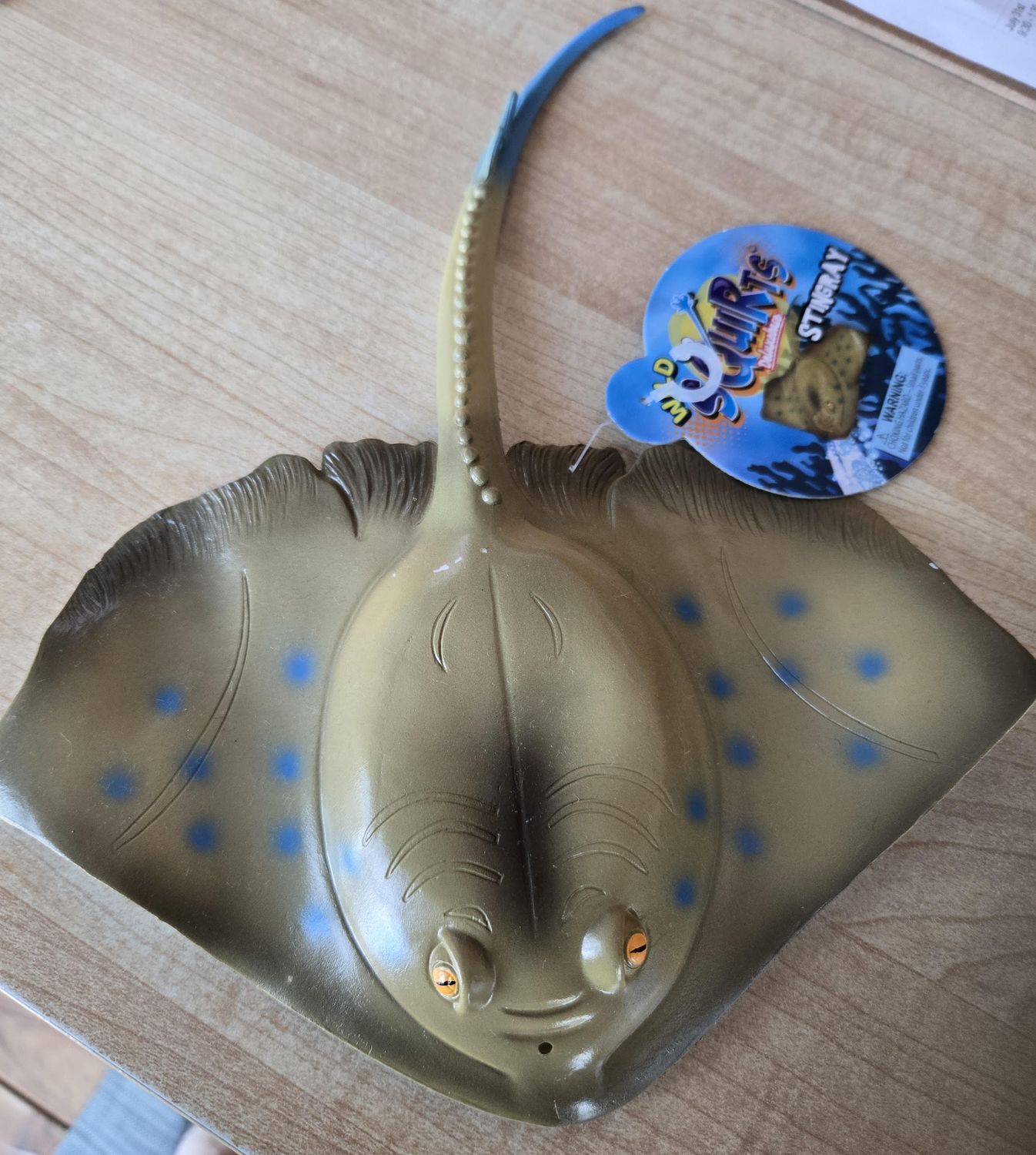 Stingray Squirt/02388/24