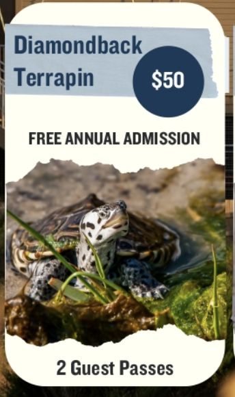 Diamondback Terrapin Individual Membership