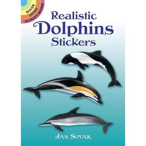Realistic Dolphin Stickers