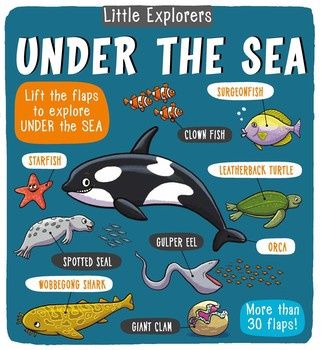 Under the Sea Board Book