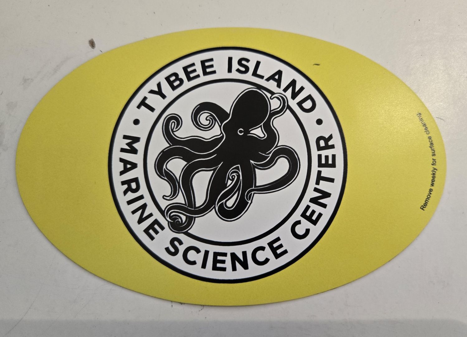 TIMSC Car Decal/Magnet