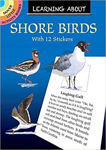Learning about Shore Birds