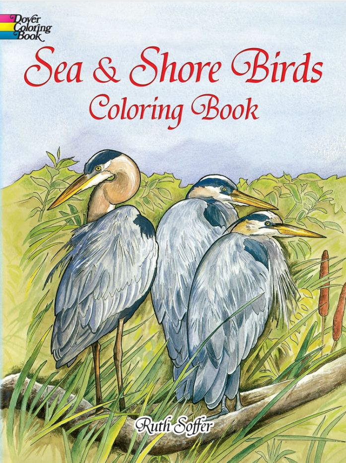 SEA AND SHORE BIRDS COLOR/408047