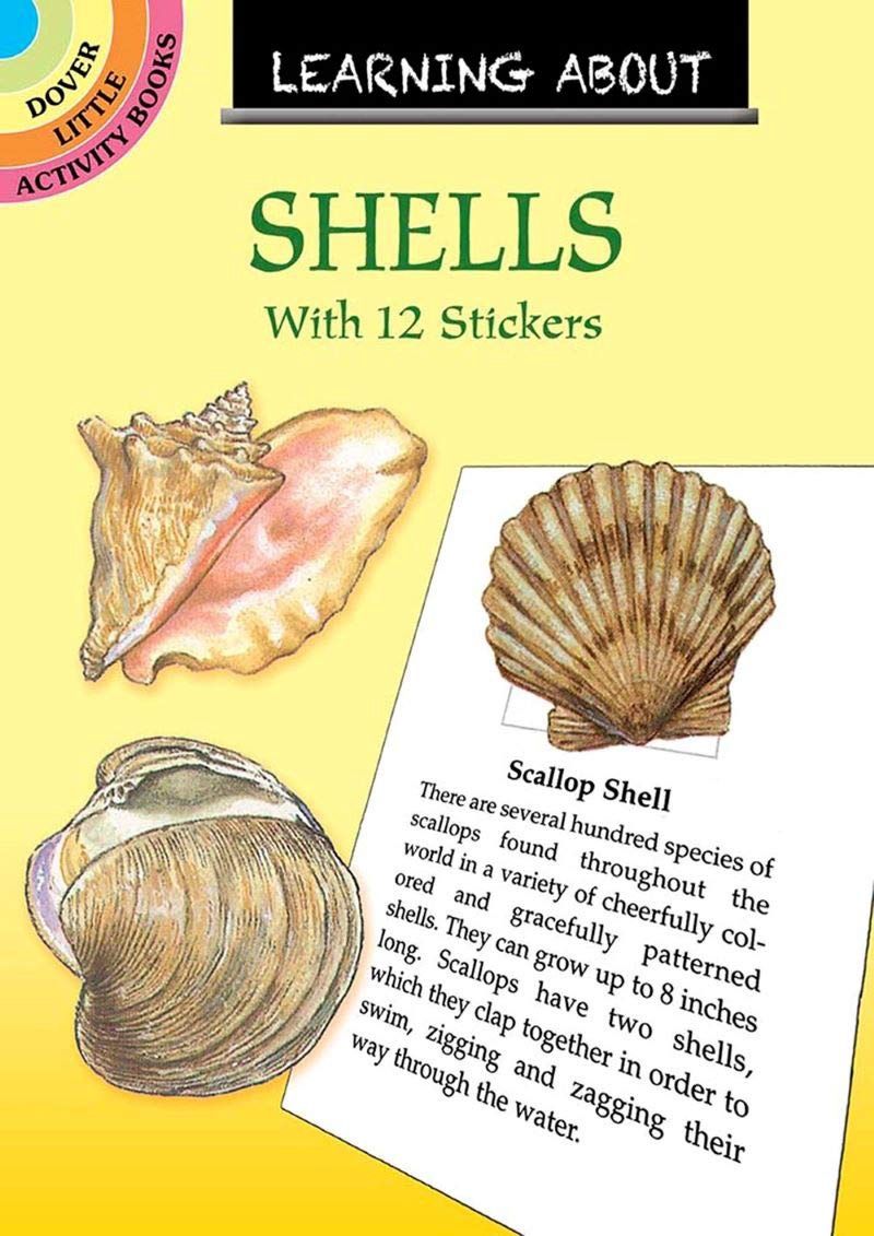 LA Seashells w/ Stickers