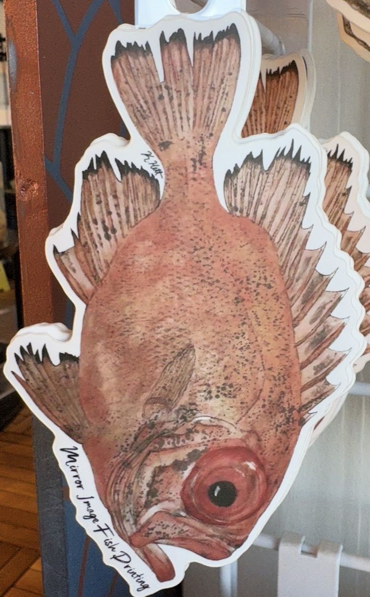 Big Eye Fish/10