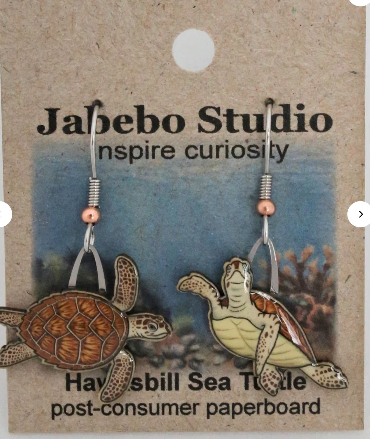 Hawksbill Sea Turtle ER/665