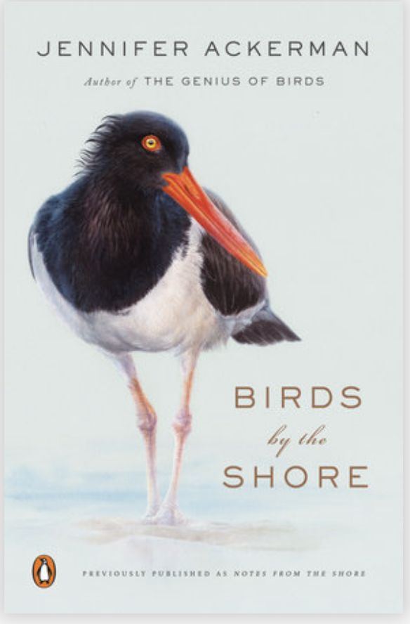 Birds by Shore
