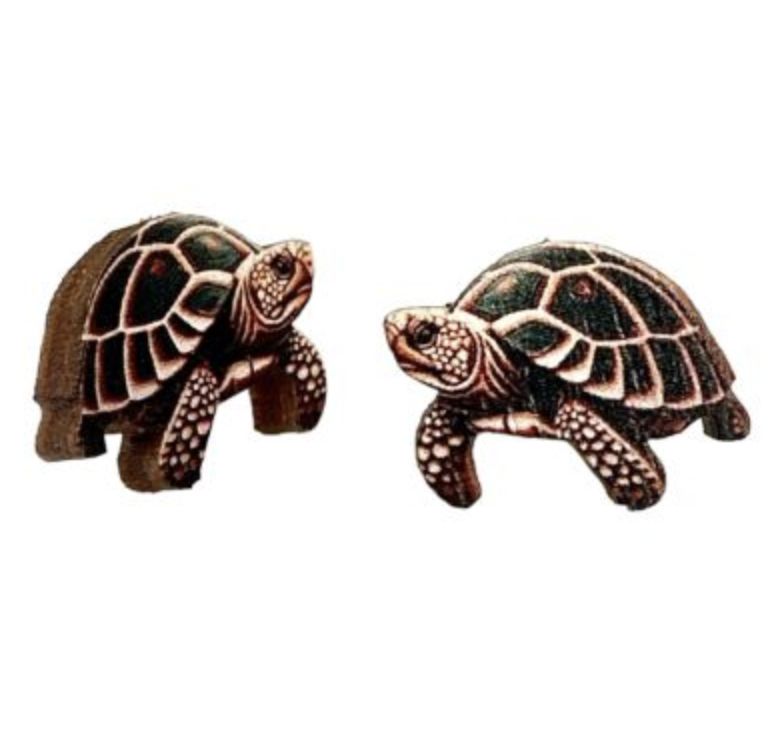 Turtle Earrings Stud/3118