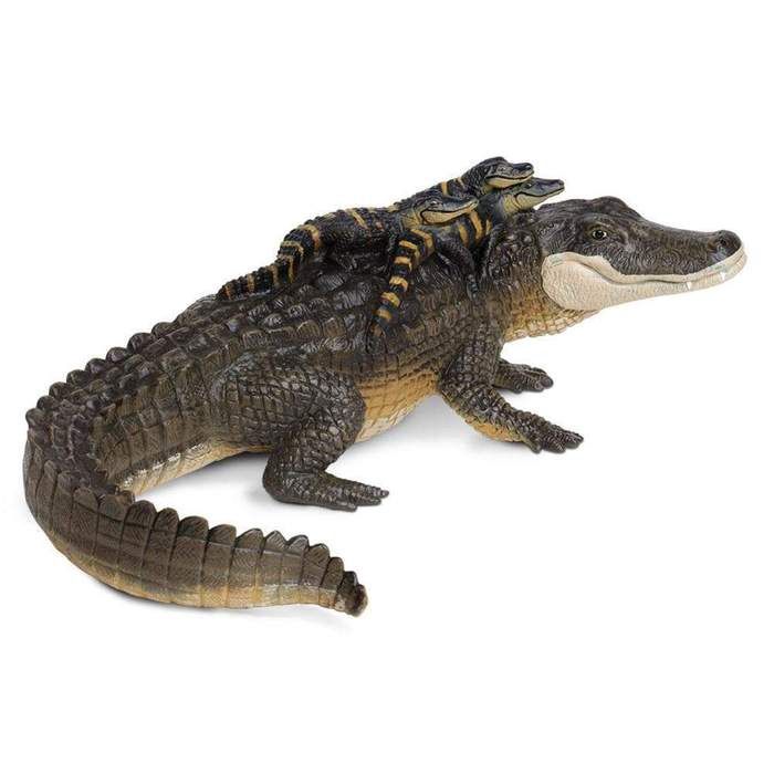 Gator w/ Babies/259629