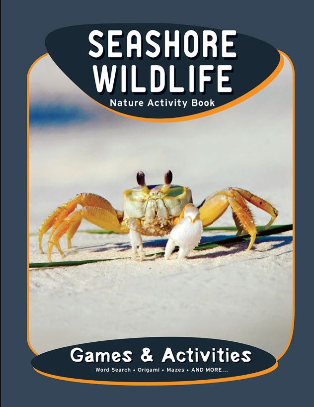 SEASHORE WILDLIFE ACTIVITY BOOK