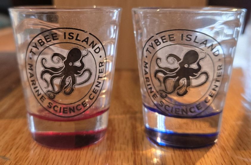 TIMSC Shot Glass