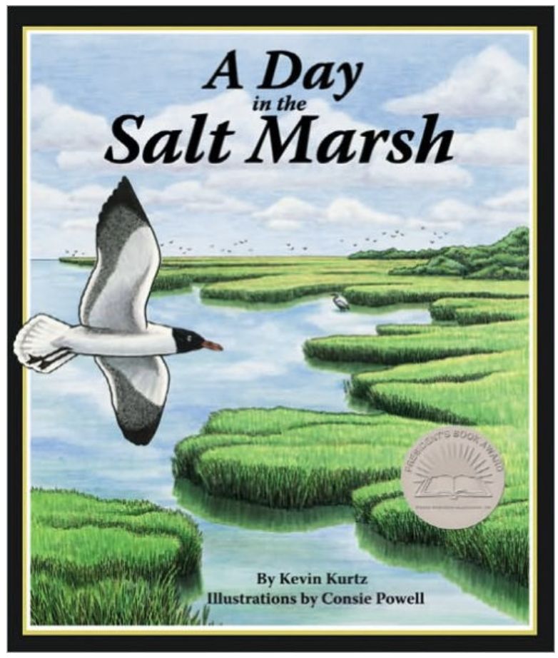 Day In Salt Marsh/9781934359198