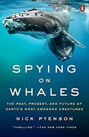 Spying on Whales