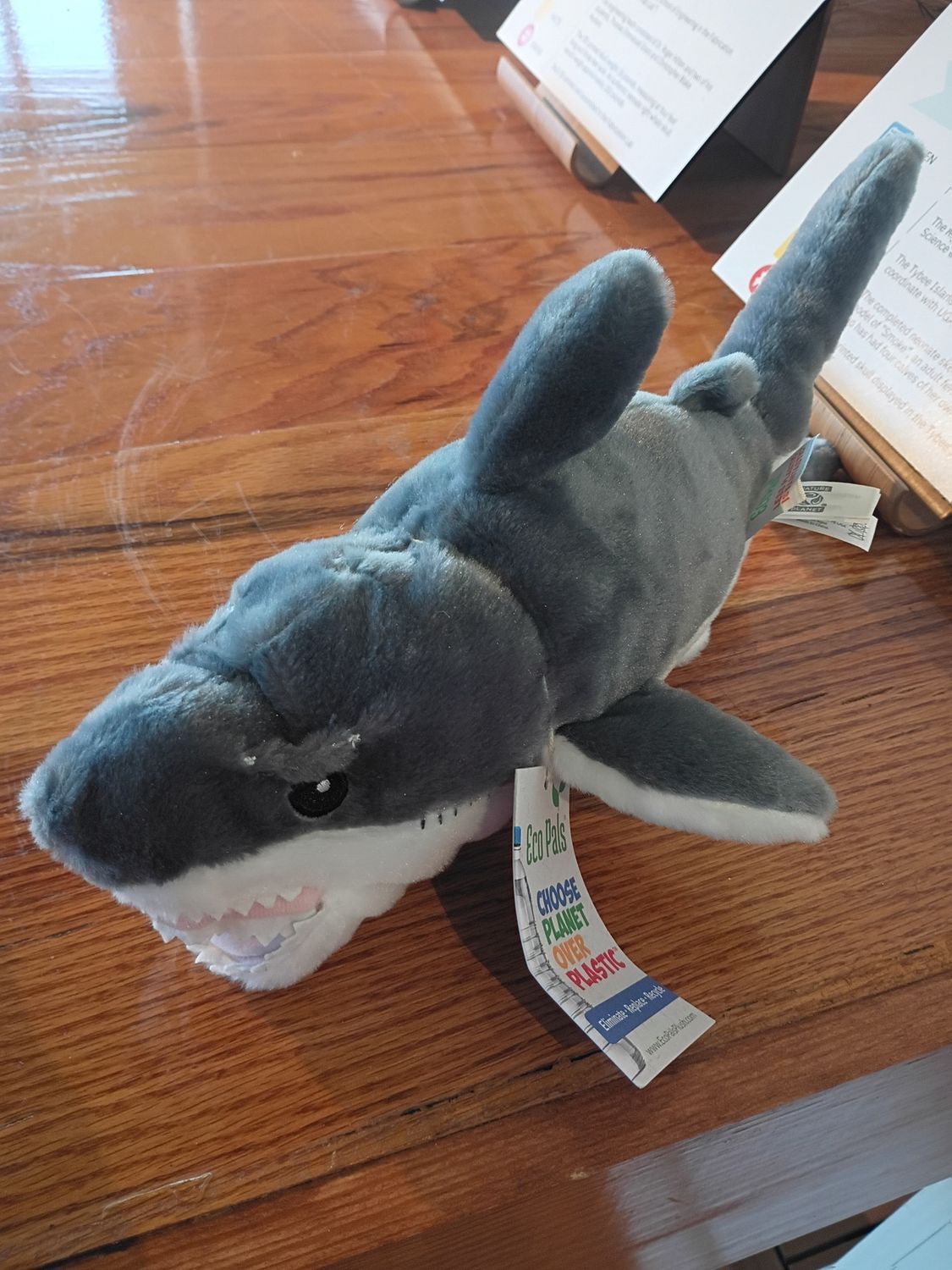 Shark