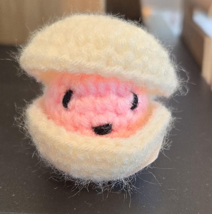 Knit CLAM 2" /CL-2/12