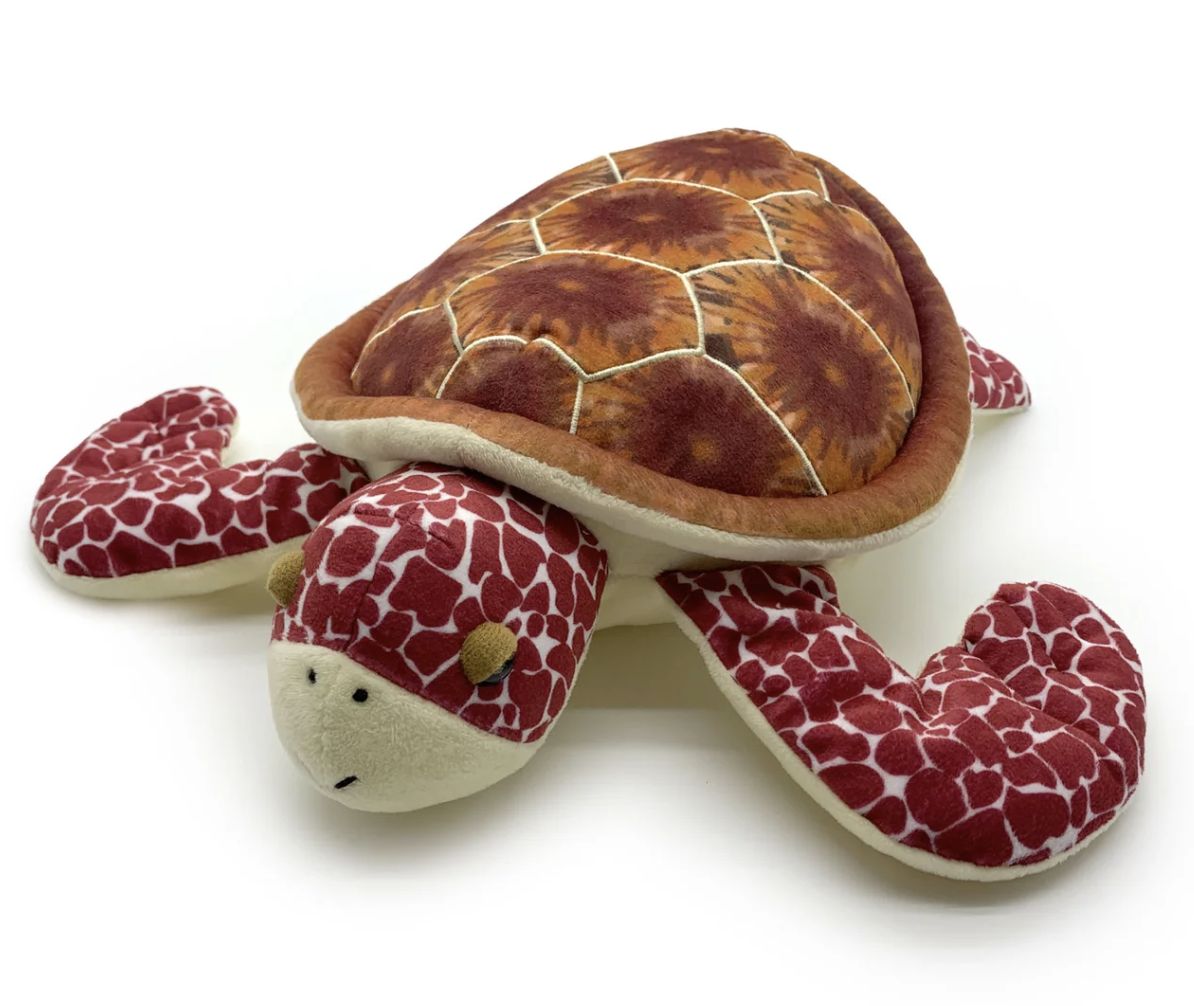 Luna Loggerhead Turtle/56240/6