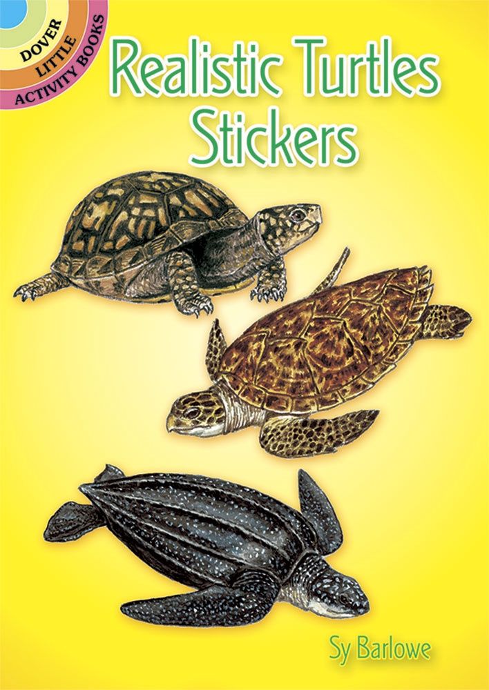 Realistic Turtles Sticker/407401