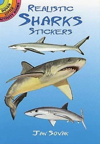 Real Sharks Stickers/416243