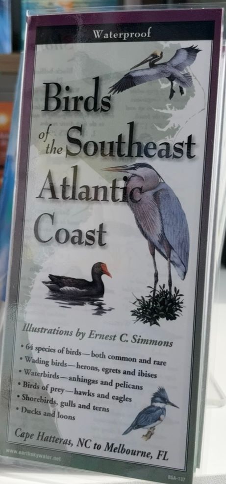Birds of SE Coast Guide/F25/10