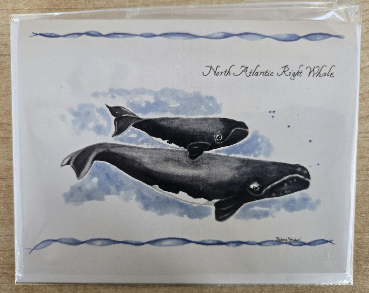 Right Whale Note Card