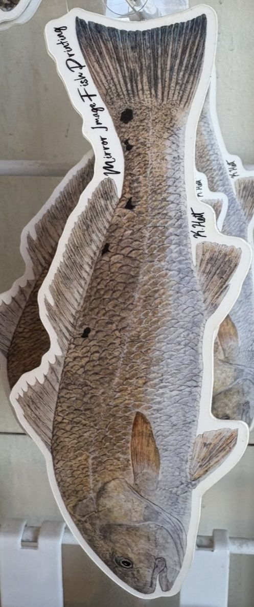 Redfish Sticker/10