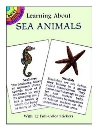 Learning About Sea Animals